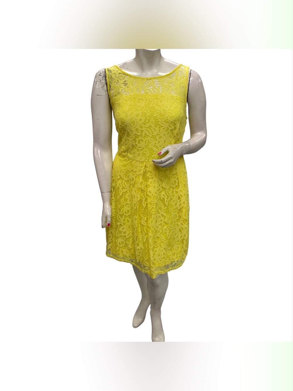 Roz & Ali Bright Yellow Lace Midi Dress Size Xl